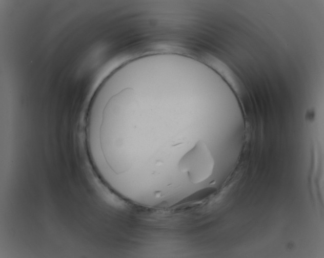 X0000094931098200712131531