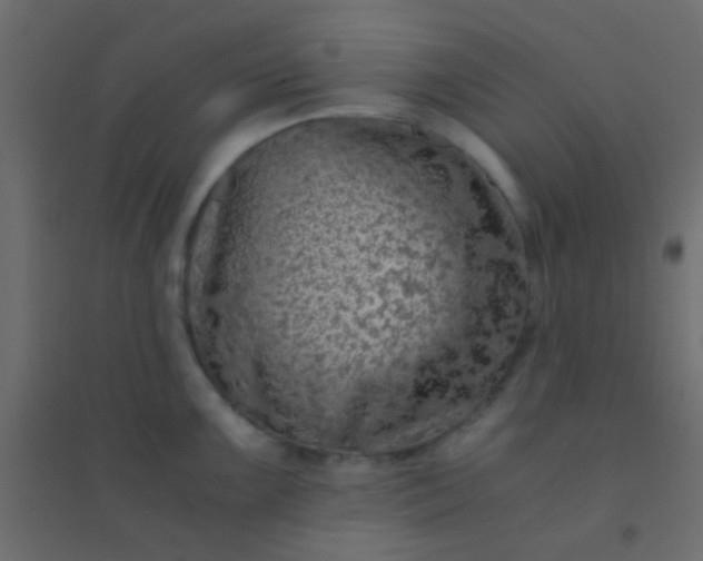 X0000094931099200712131531
