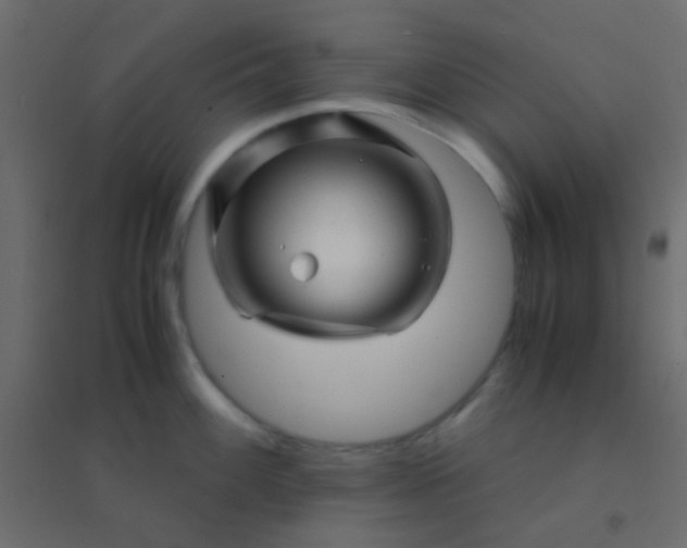 X0000094931100200712131531