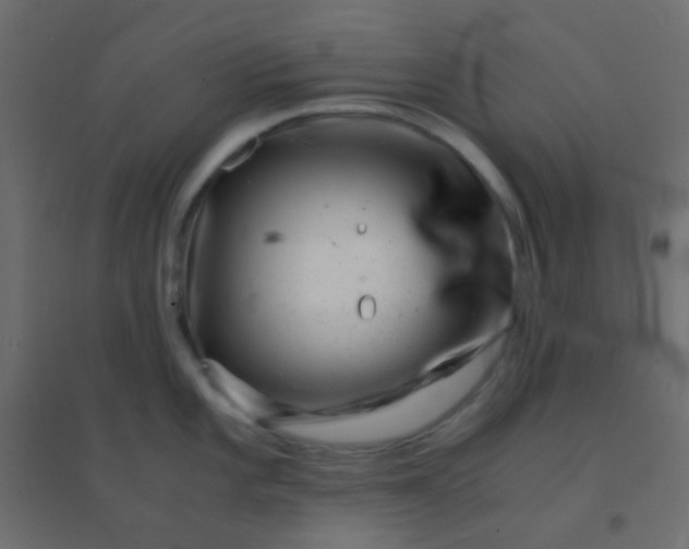 X0000094931101200712131531