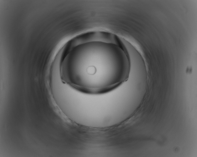 X0000094931104200712131531