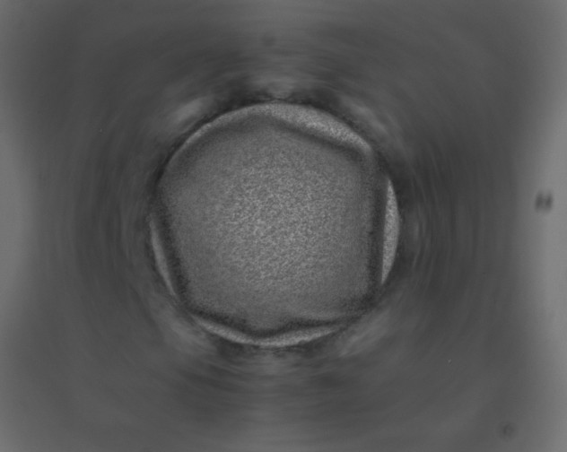 X0000094931105200712131531