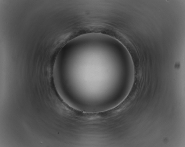 X0000094931108200712131531