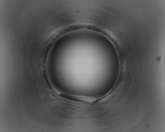 X0000094931110200712131531
