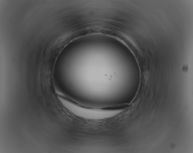 X0000094931111200712131531