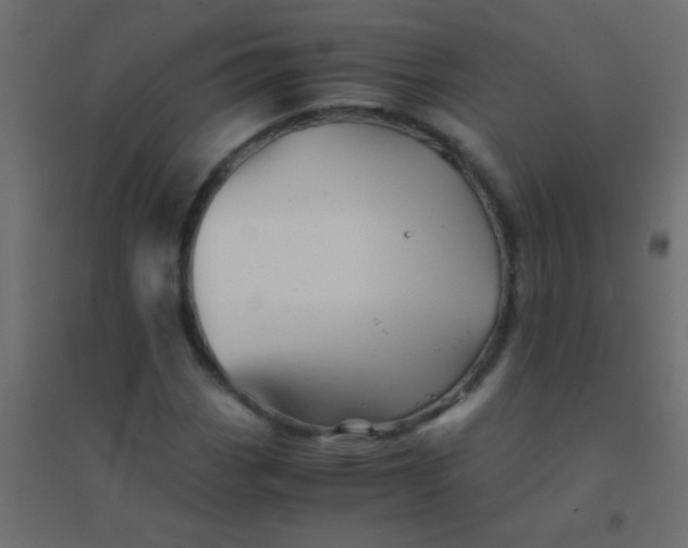 X0000094931113200712131531