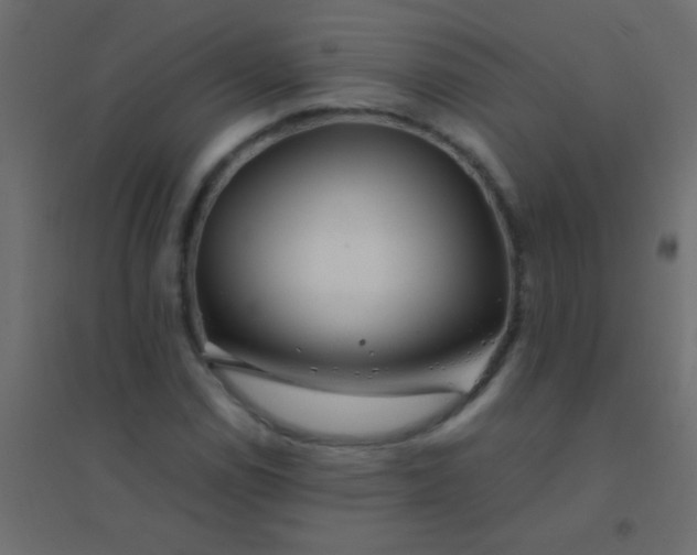 X0000094931114200712131531