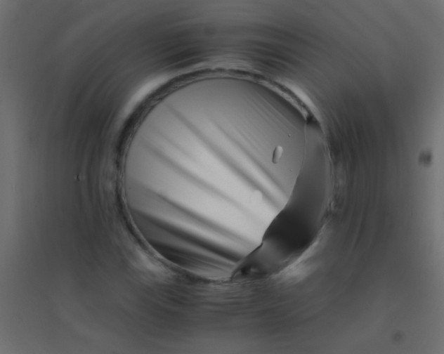X0000094931115200712131531