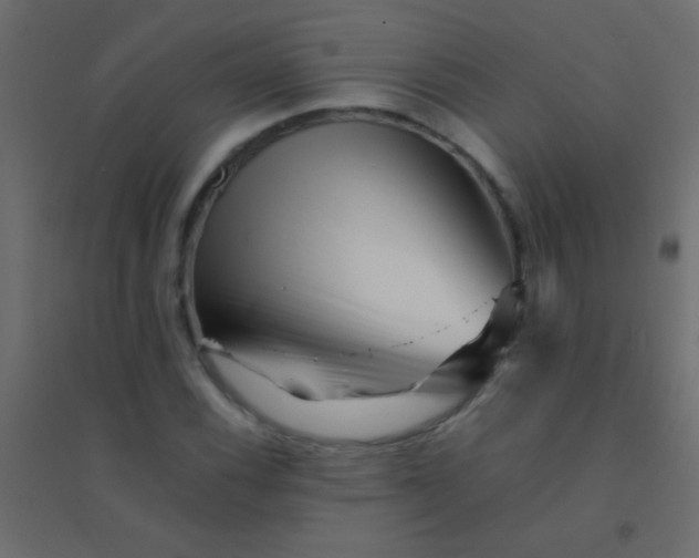 X0000094931116200712131531