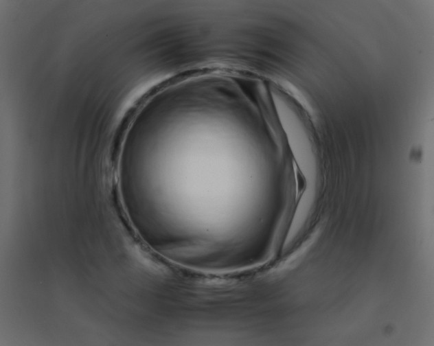 X0000094931117200712131531