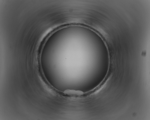 X0000094931118200712131531