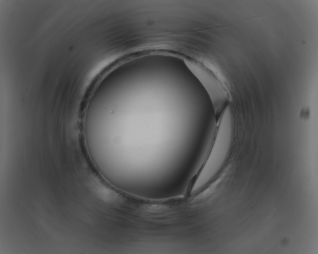 X0000094931119200712131531