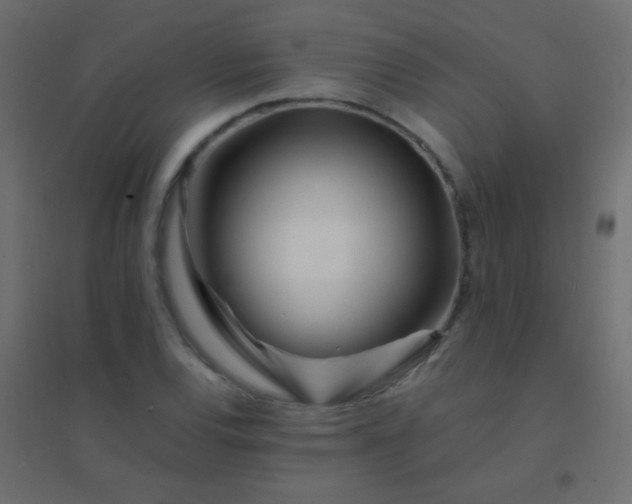 X0000094931120200712131531