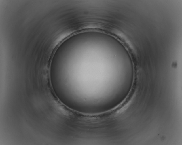 X0000094931121200712131531