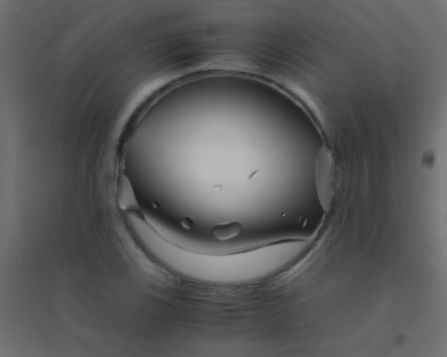 X0000094931123200712131531