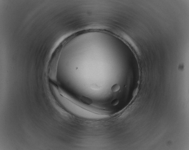 X0000094931124200712131531