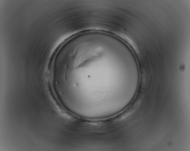 X0000094931125200712131531