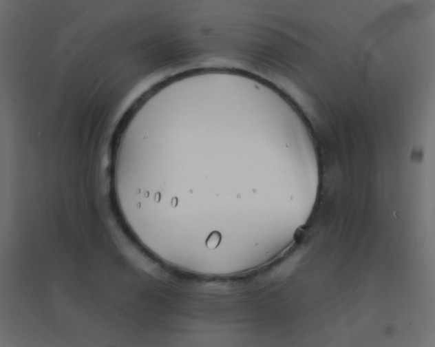 X0000094931126200712131531