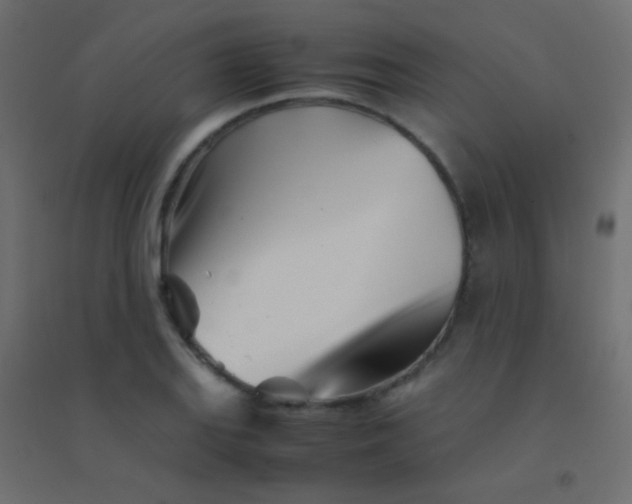 X0000094931127200712131531