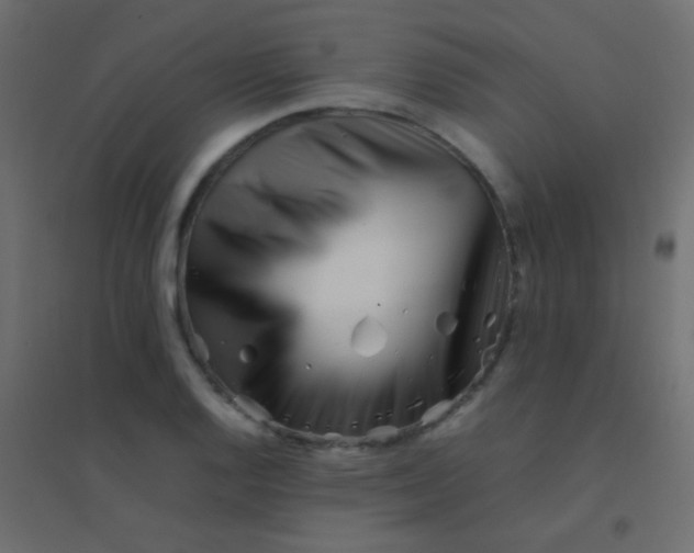 X0000094931128200712131531