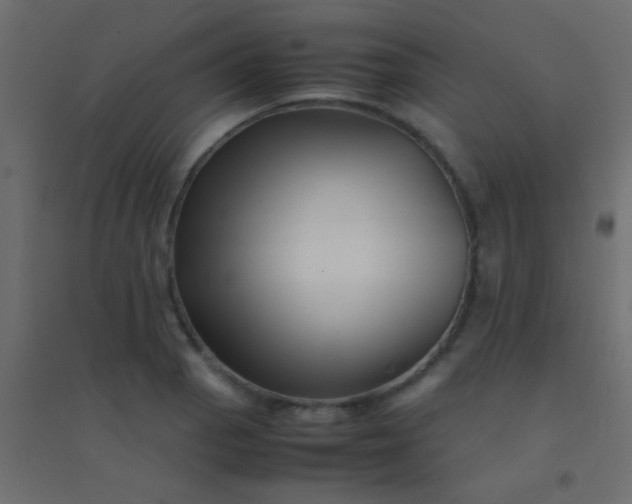 X0000094931129200712131531