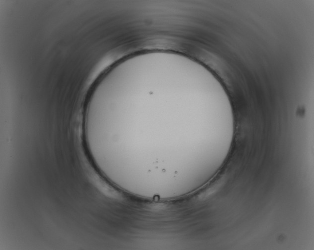 X0000094931130200712131531