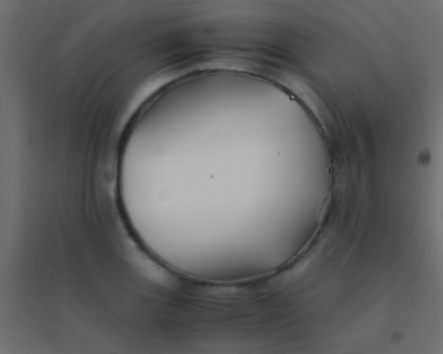 X0000094931131200712131531