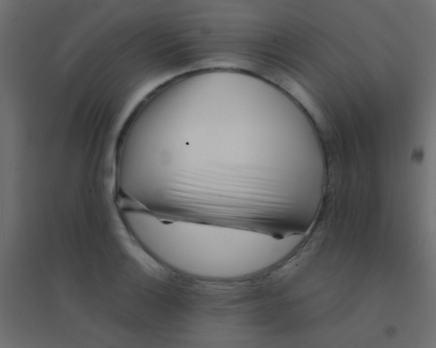 X0000094931132200712131531