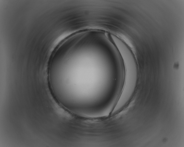 X0000094931133200712131531