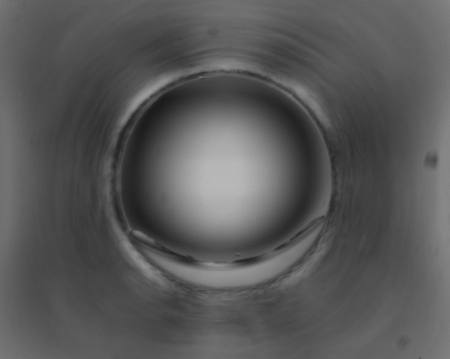 X0000094931134200712131531