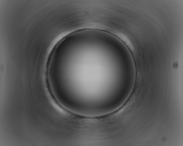 X0000094931136200712131531