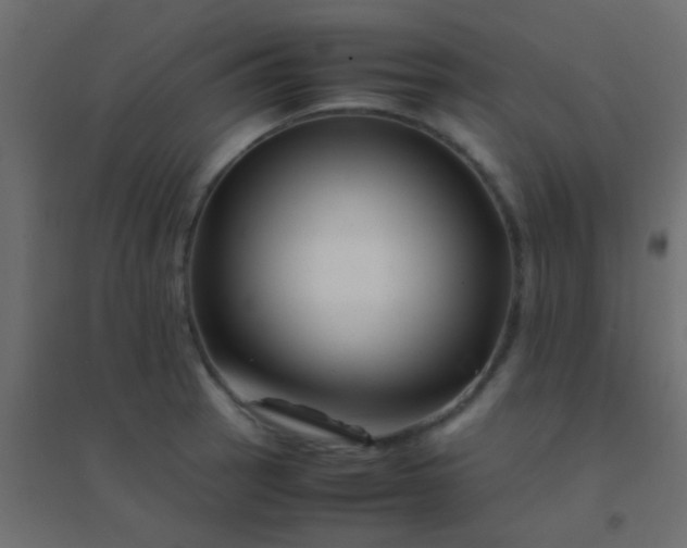 X0000094931137200712131531