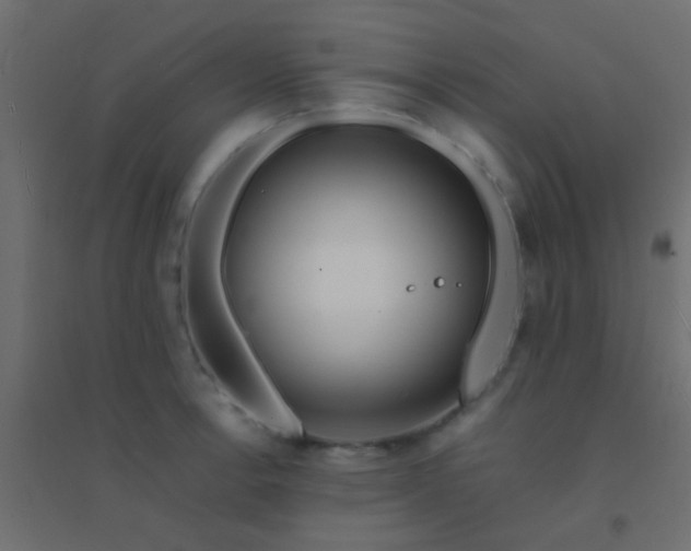 X0000094931138200712131531