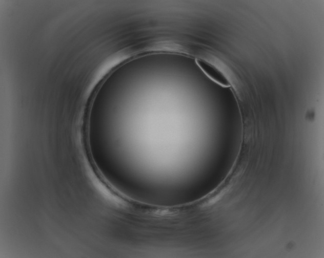 X0000094931139200712131531