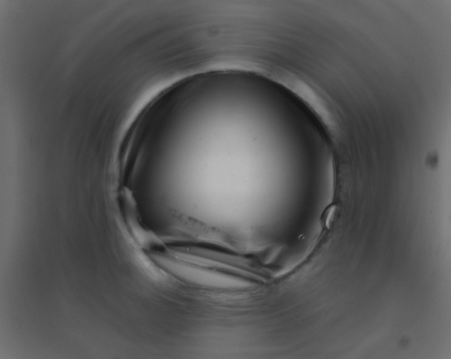 X0000094931140200712131531