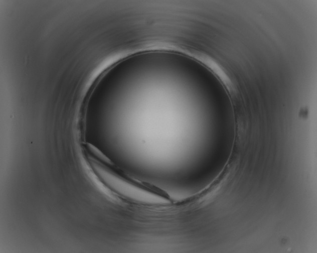 X0000094931142200712131531