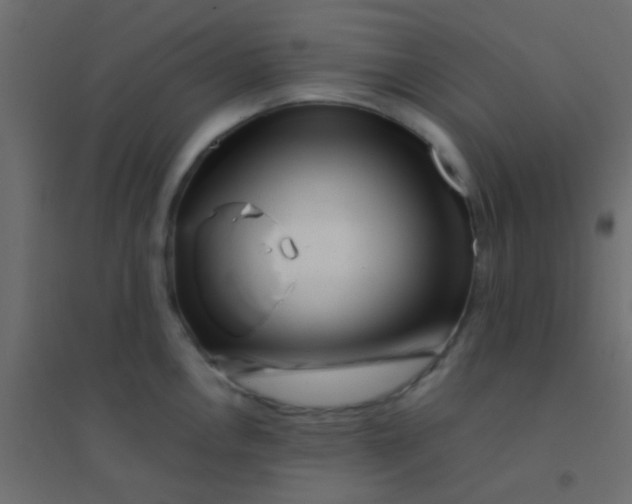 X0000094931146200712131531