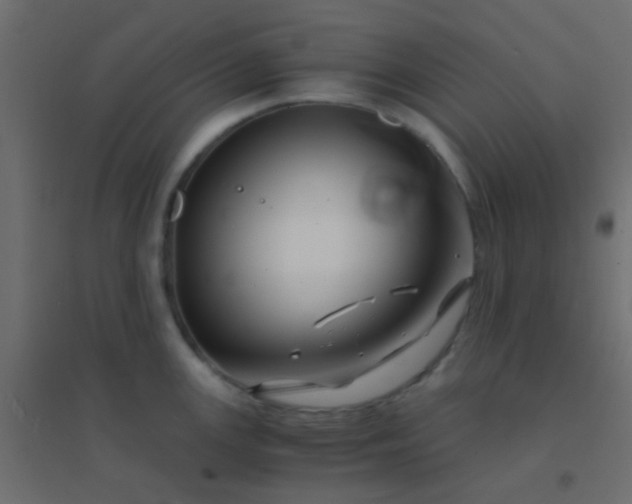 X0000094931147200712131531