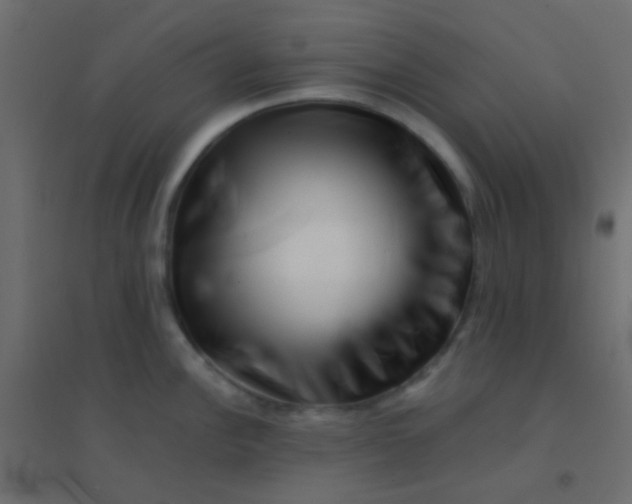 X0000094931148200712131531