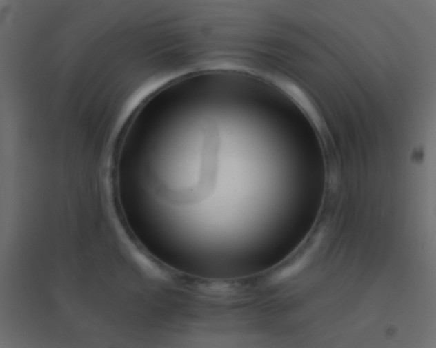 X0000094931149200712131531