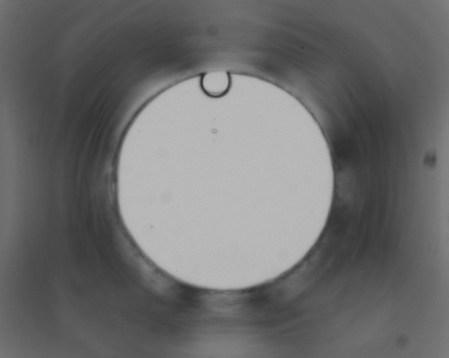 X0000094931150200712131531