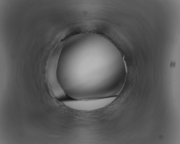 X0000094931153200712131531