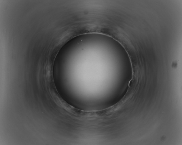 X0000094931154200712131531