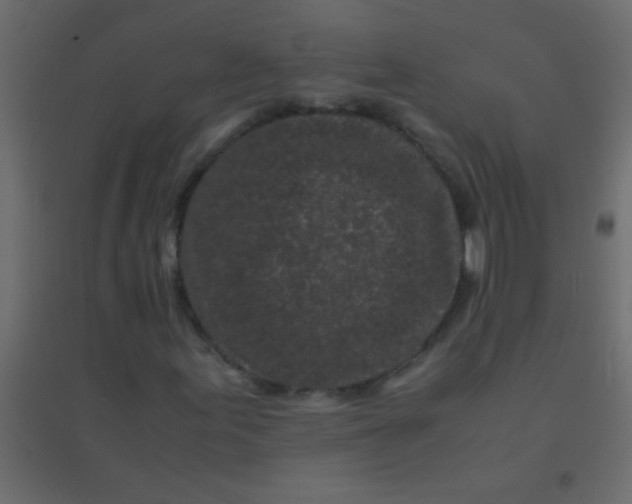 X0000094931155200712131531