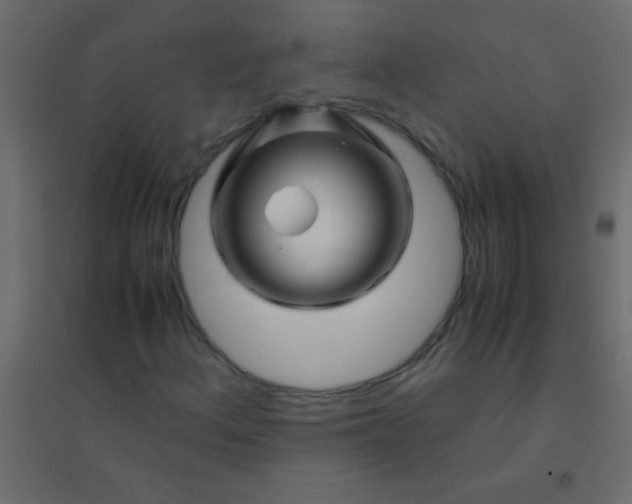 X0000094931156200712131531