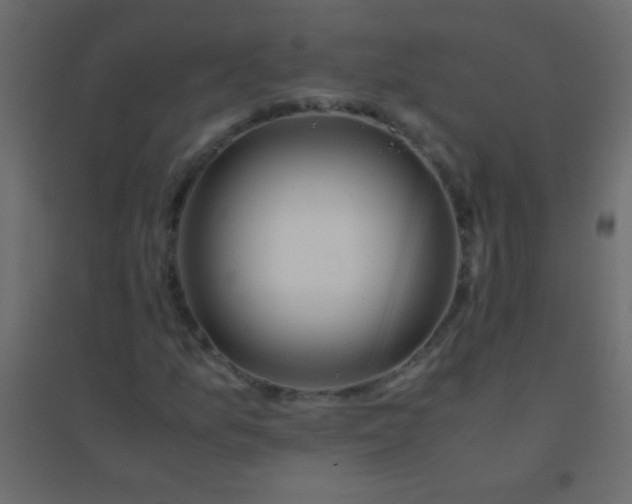 X0000094931157200712131531