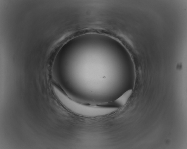 X0000094931159200712131531