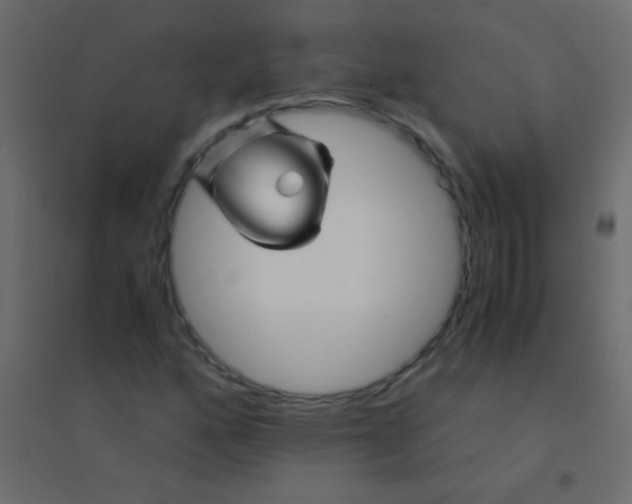 X0000094931160200712131531