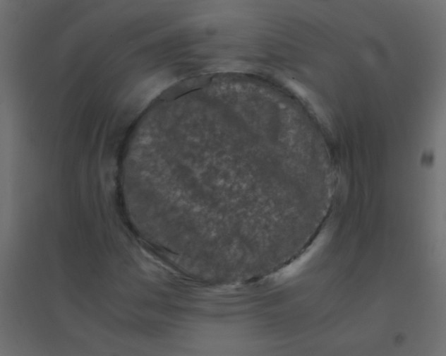 X0000094931161200712131531