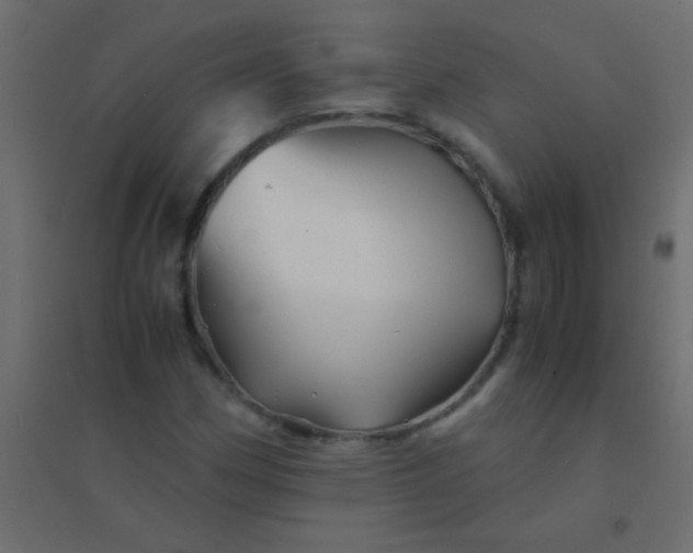 X0000094931162200712131531